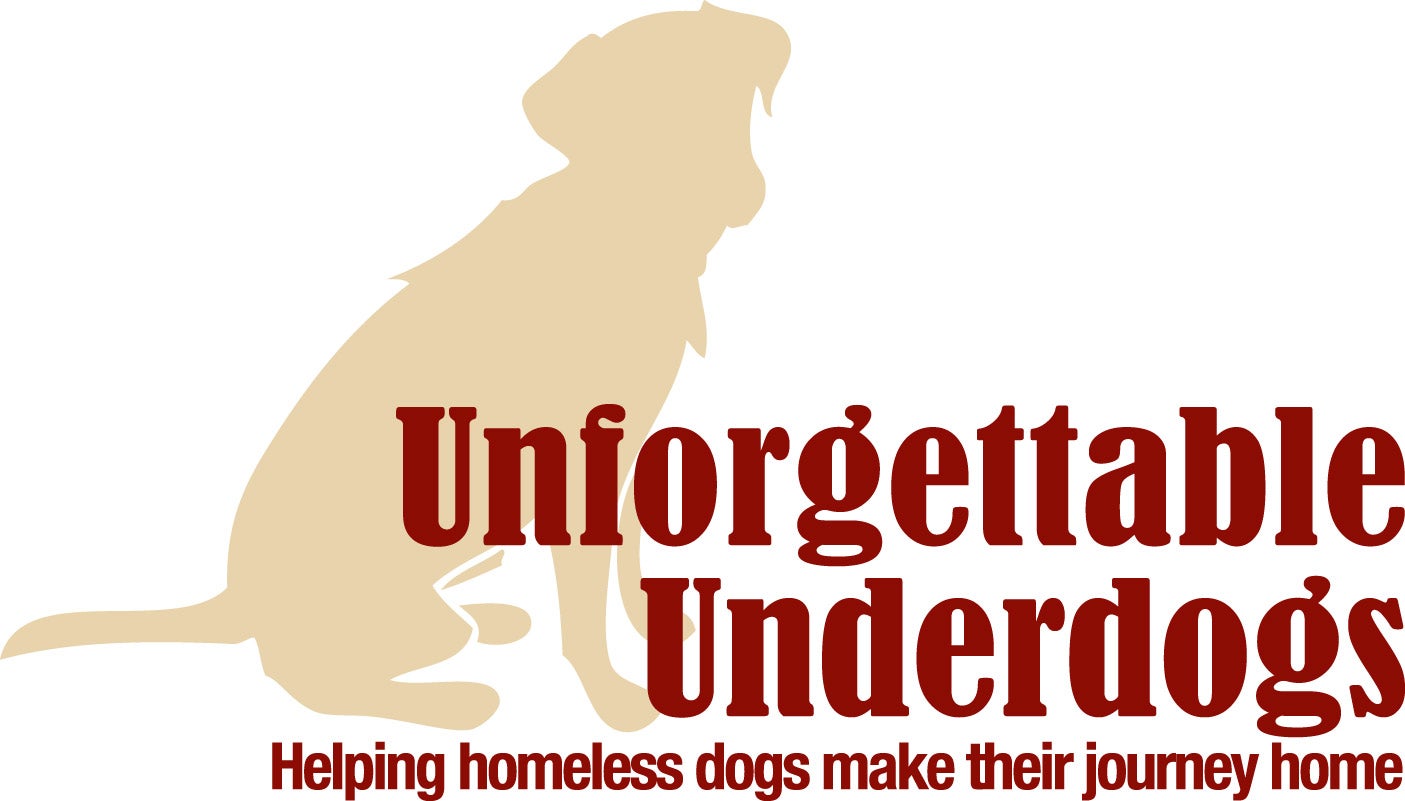 We are dedicated to rescuing The Underdogs, those who have found